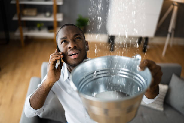 Best Commercial water damage restoration  in Springfield, VA