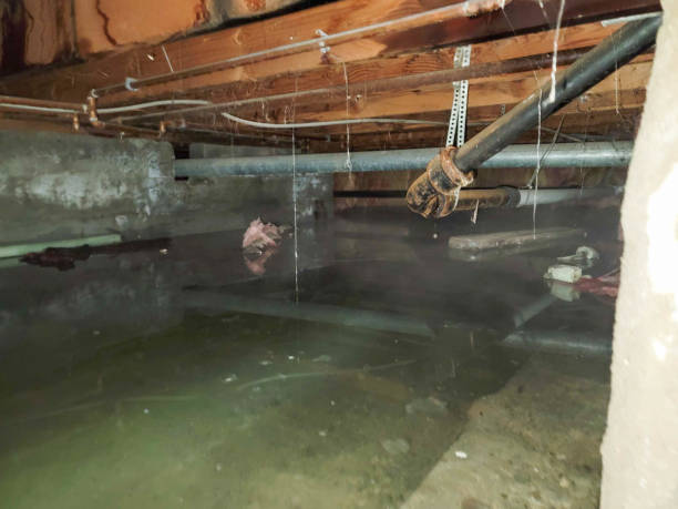 Local water damage restoration in Springfield, VA
