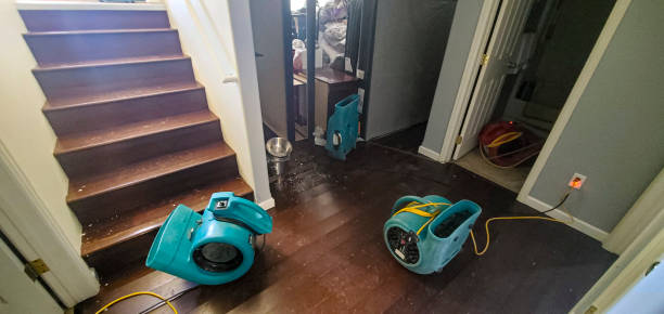 Best Water damage restoration services  in Springfield, VA