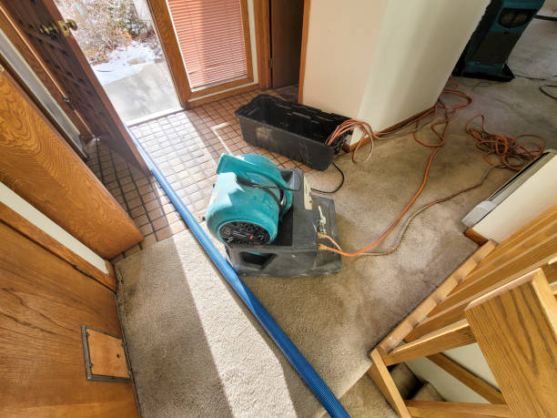 Springfield, VA Water damage restoration Company