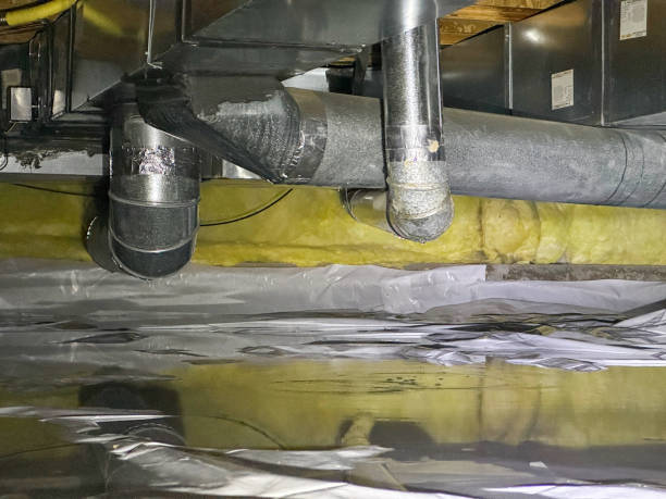 Best Water damage repair service  in Springfield, VA