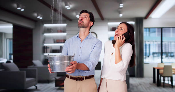 Best Water damage contractors near me  in Springfield, VA